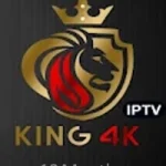 KING4K 12-months activation code