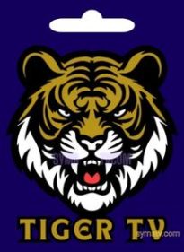 TIGER IPTV activation code